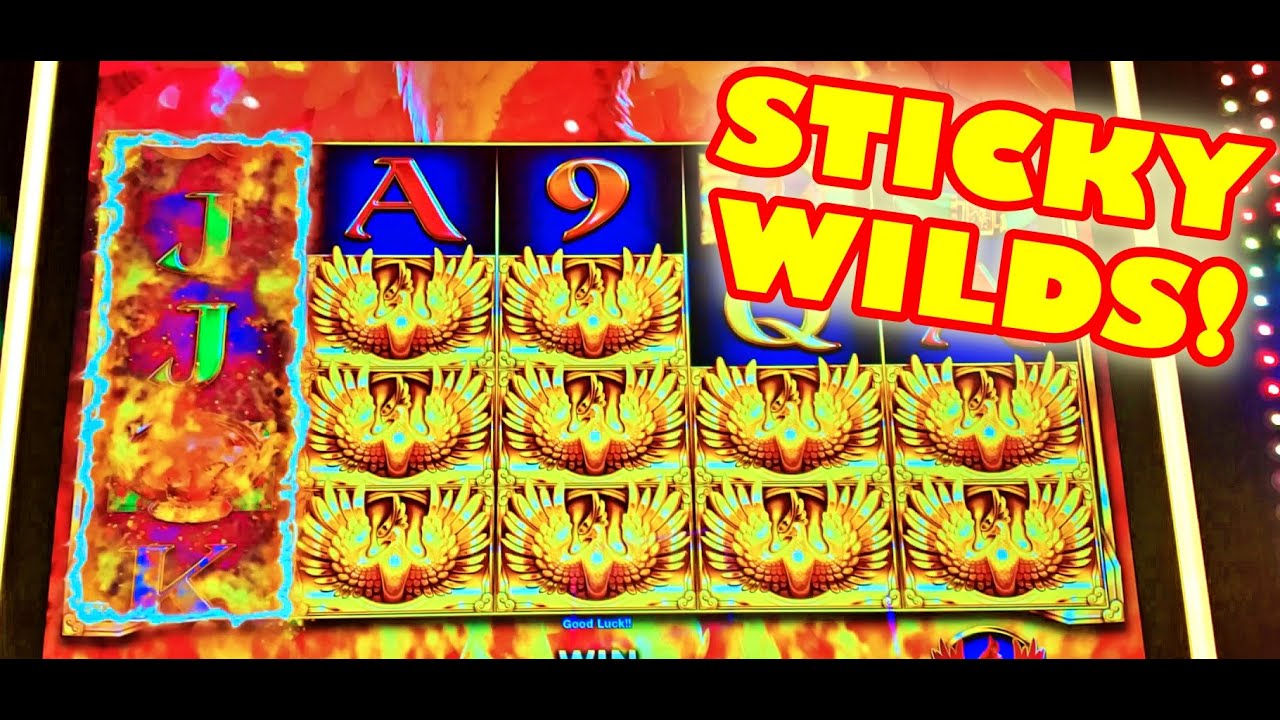 Sticky Wilds